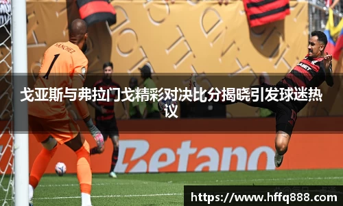 戈亚斯与弗拉门戈精彩对决比分揭晓引发球迷热议